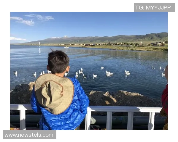 重庆排球队区域防守创新之路探索与实践分析